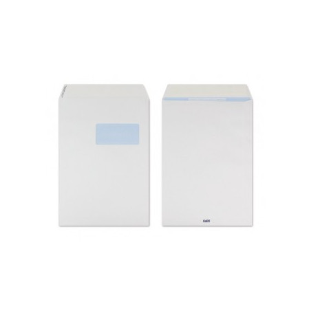 Bus. Sac.bian 23x33 C.fin 500 500 Pz